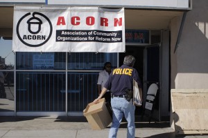 acorn
